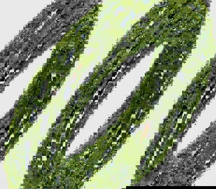 Ardian Pranomo WI Yxhg1mci Unsplash